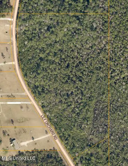 Lily Orchard Road, Moss Point, MS 39562 - Image #1