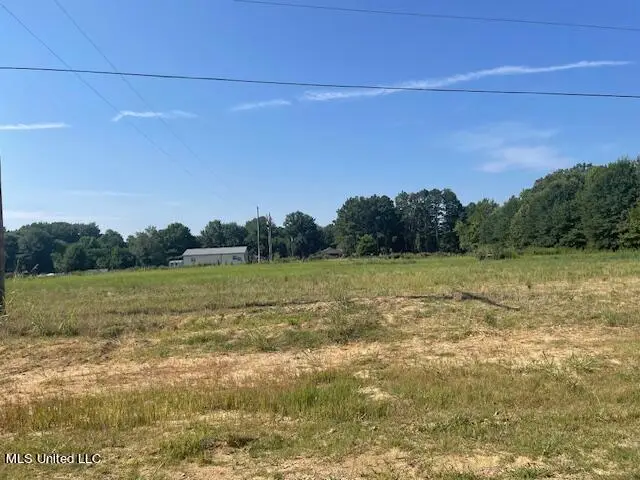 1611 Cane Creek Drive, Hernando, MS 38632 - Image #2