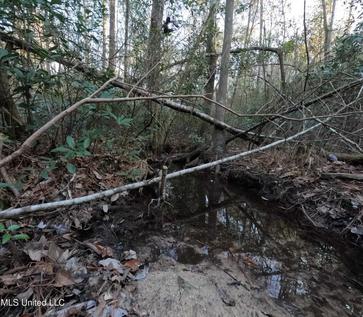 S County Line Road, Columbia, MS 39429 - #1