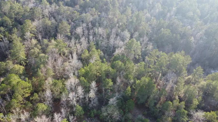 S County Line Road, Columbia, MS 39429 - #2