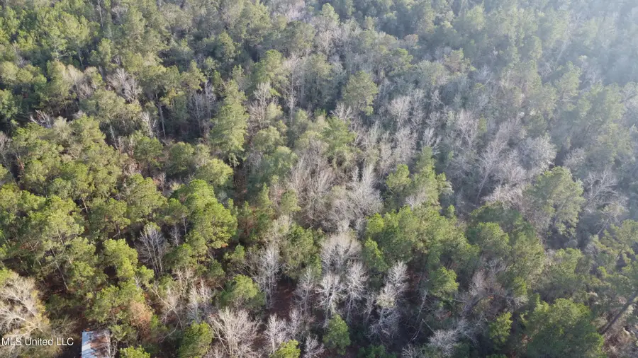 S County Line Road, Columbia, MS 39429 - #3