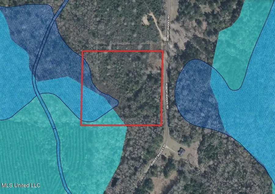 Robert Rhodes Road, Poplarville, MS 39470 - Image #3