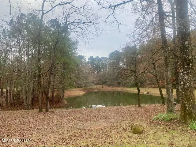 2171 Emerald Lane, Magnolia, MS 39652 - #3