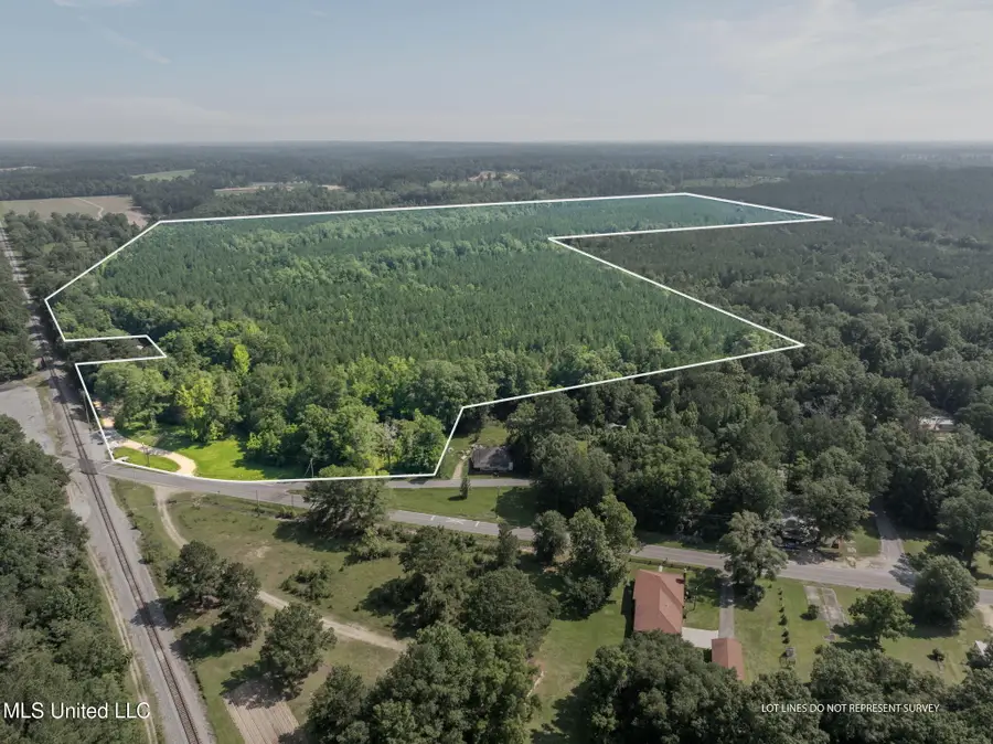 121 Acres Old Highway 49, Seminary, MS 39479 - #3