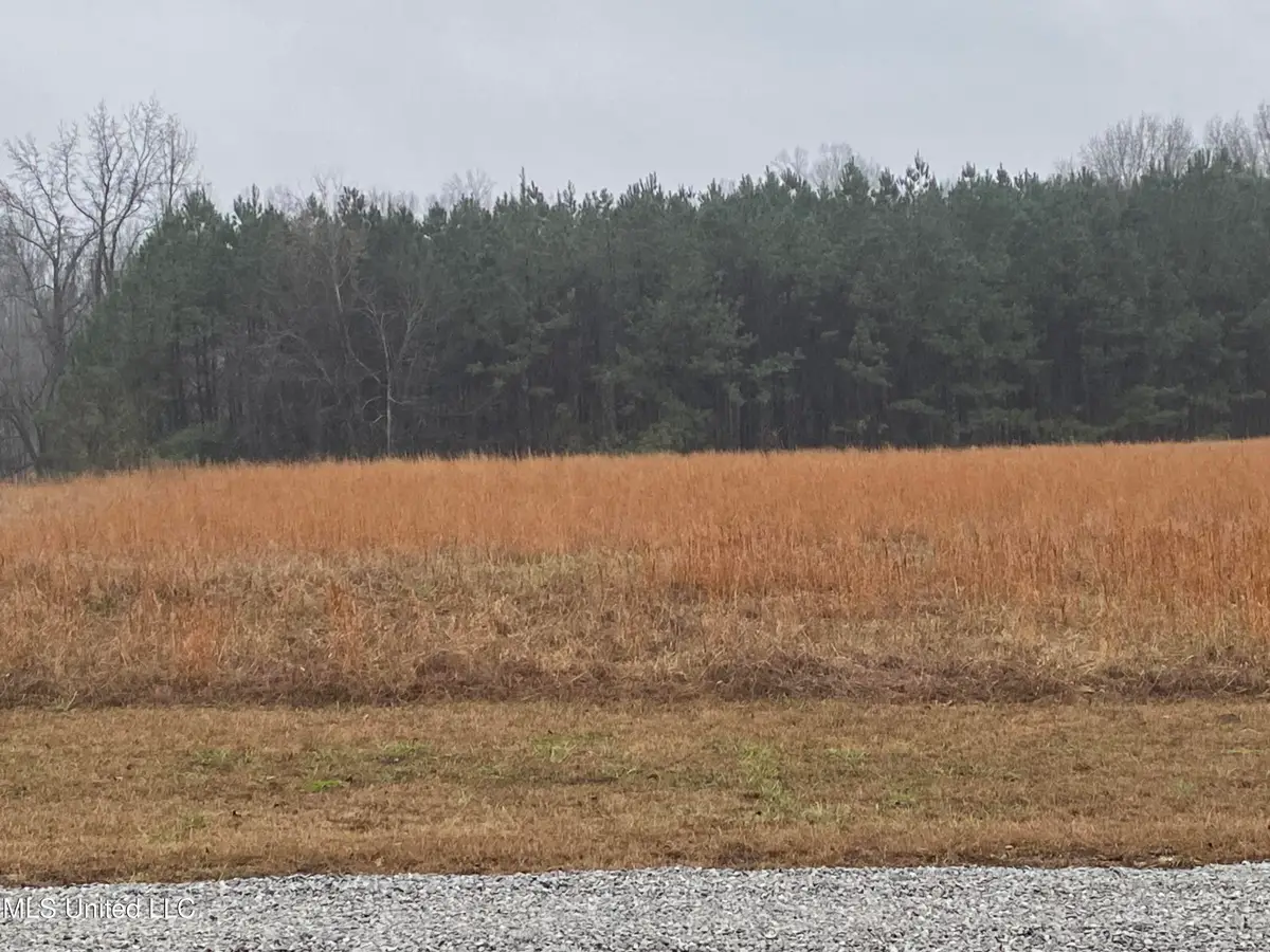 2603 Odom Road, Hernando, MS 38632 - #1