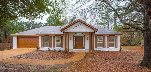 807 Meadow Way Cove, Byram, MS 39272