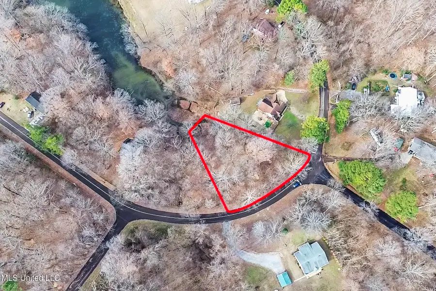 9991 Horseshoe Bend, Hernando, MS 38632 - #3