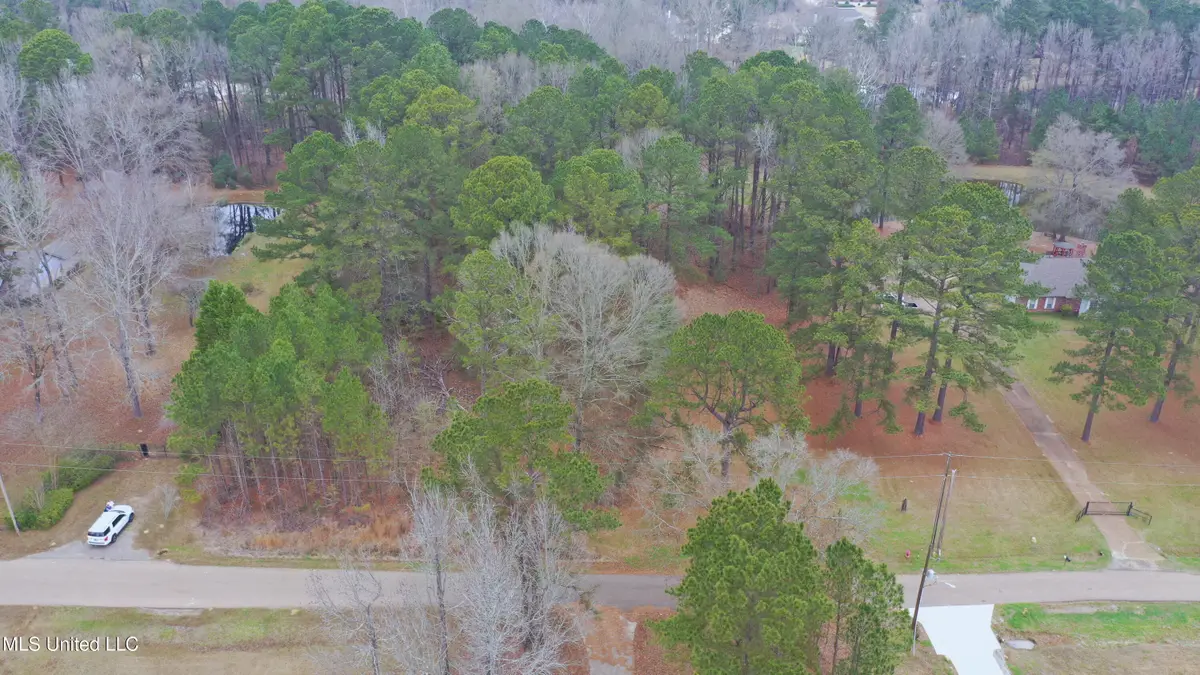 164 Walter Payton Lane, Ridgeland, MS 39157 - #1