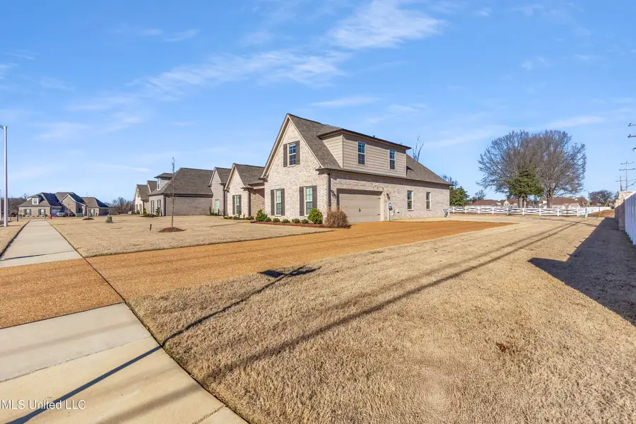 4990 Witt Cove, Olive Branch, MS 38654 - #2