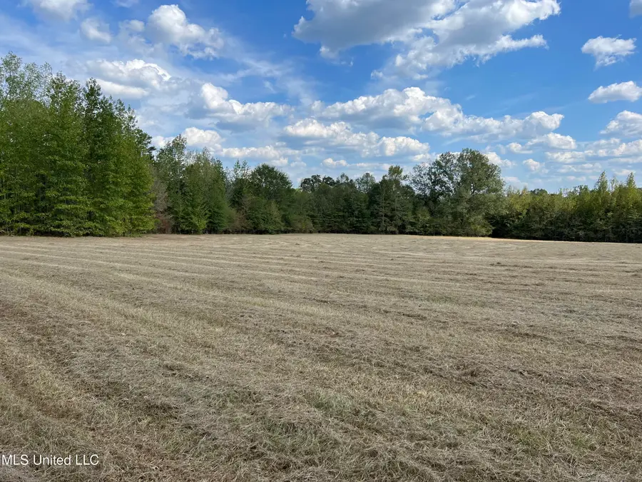 Scr 135, Polkville, MS 39117 - #2