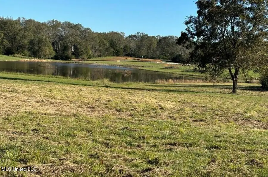 1029 N Ratliff Road, Jackson, MS 39209 - #3