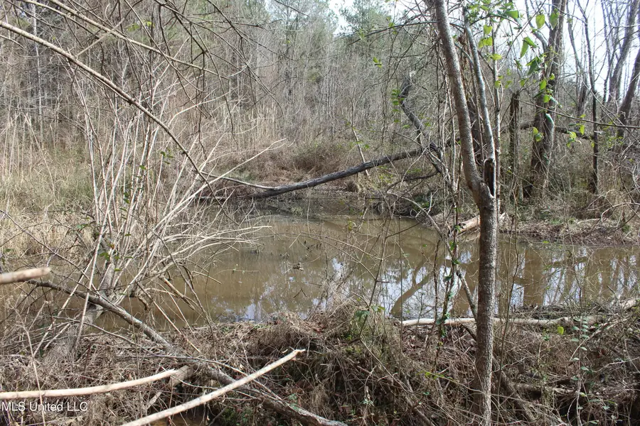 1958 NW Highway 550, Brookhaven, MS 39601 - Image #2