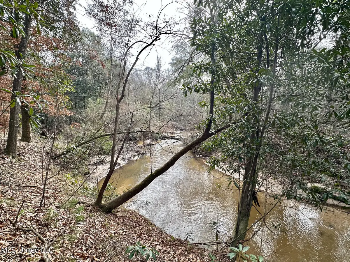 1 Main Street, Mendenhall, MS 39114 - #1