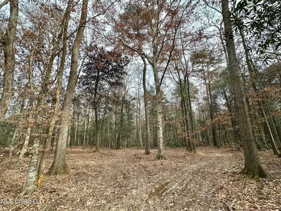 1 Main Street, Mendenhall, MS 39114 - #2