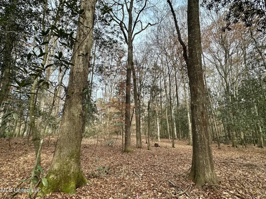 1 Main Street, Mendenhall, MS 39114 - #3