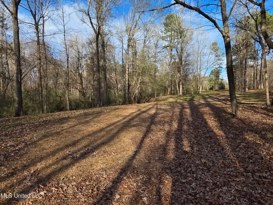 753 Old Highway 84, Roxie, MS 39661 - #2