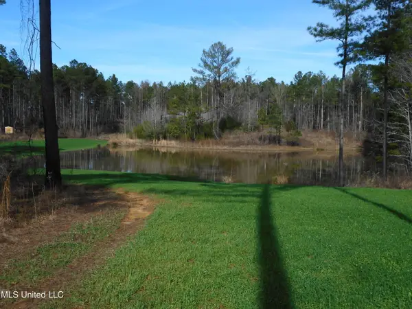 593 Rocky Hill Road, Pickens, MS 39146