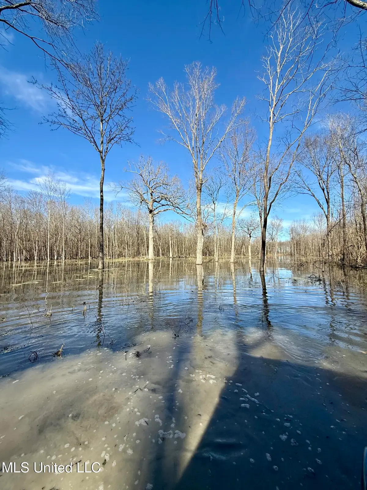 Abraham Road, Silver City, MS 39166 - #1