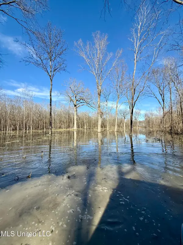 Abraham Road, Silver City, MS 39166