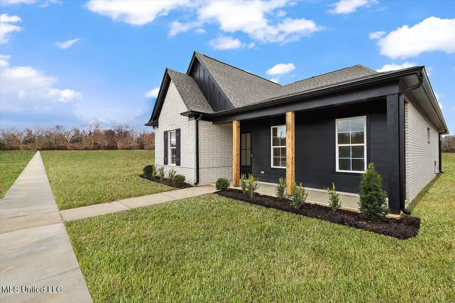 538 Bolivar Drive, Nesbit, MS 38651 - #3