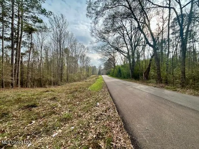 SE Lee Drive, Bogue Chitto, MS 39629 - Image #2