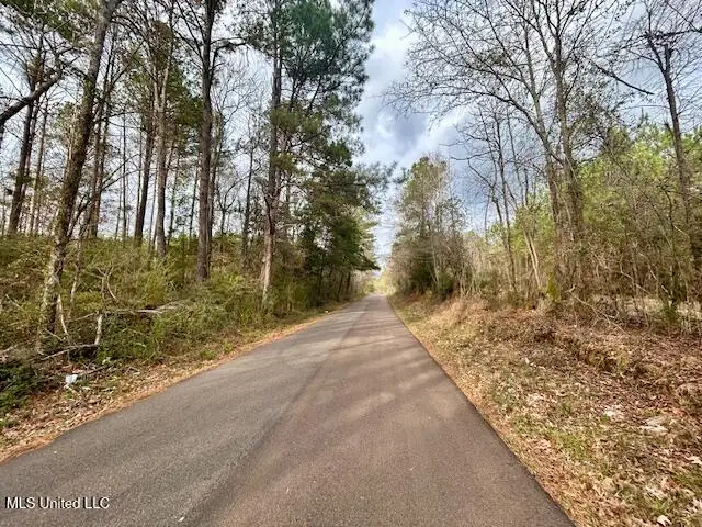 SE Lee Drive, Bogue Chitto, MS 39629 - Image #3