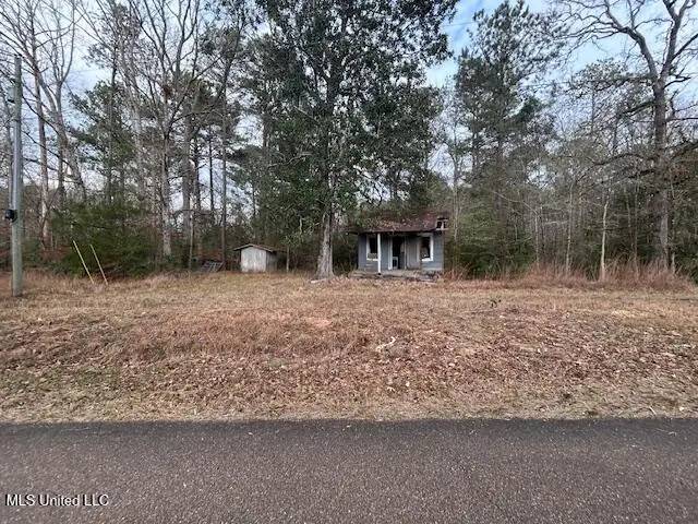 0 SE Pricedale Drive, Bogue Chitto, MS 39629 - Image #1