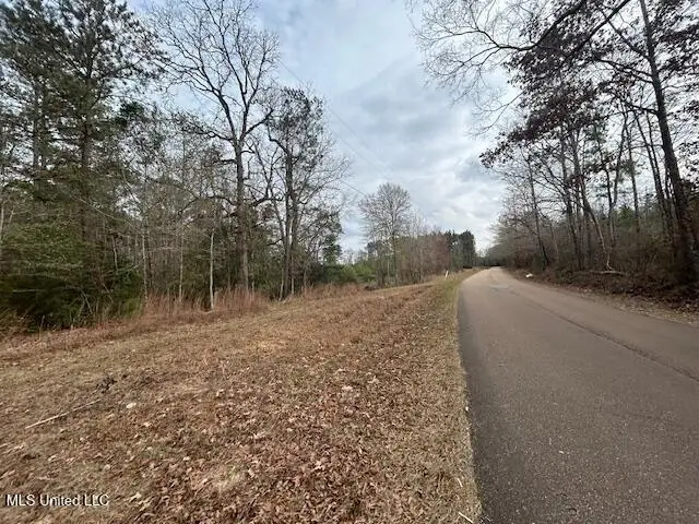 0 SE Pricedale Drive, Bogue Chitto, MS 39629 - Image #3