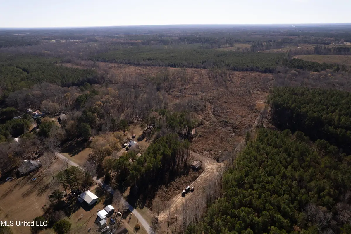 County Road 231, Mantee, MS 39751 - #1