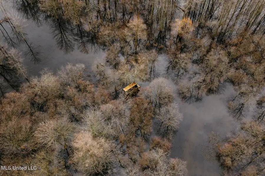 660 E New Africa Road, Alligator, MS 38720 - Image #2