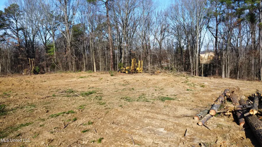 Curbo Lane, Olive Branch, MS 38654 - #2