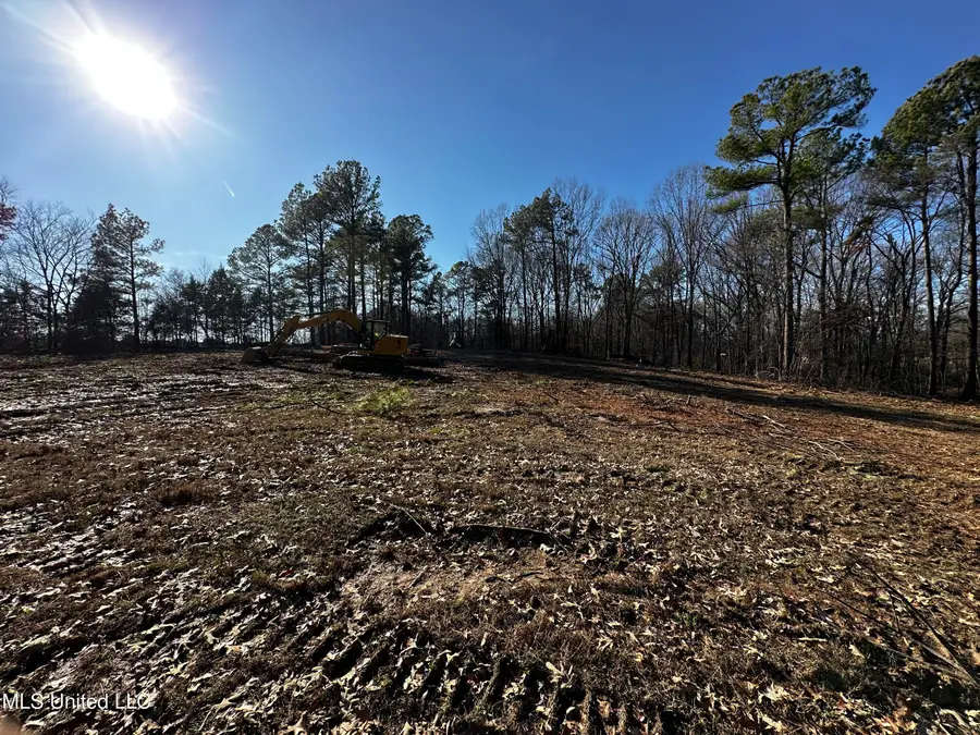 Curbo Lane, Olive Branch, MS 38654 - #3