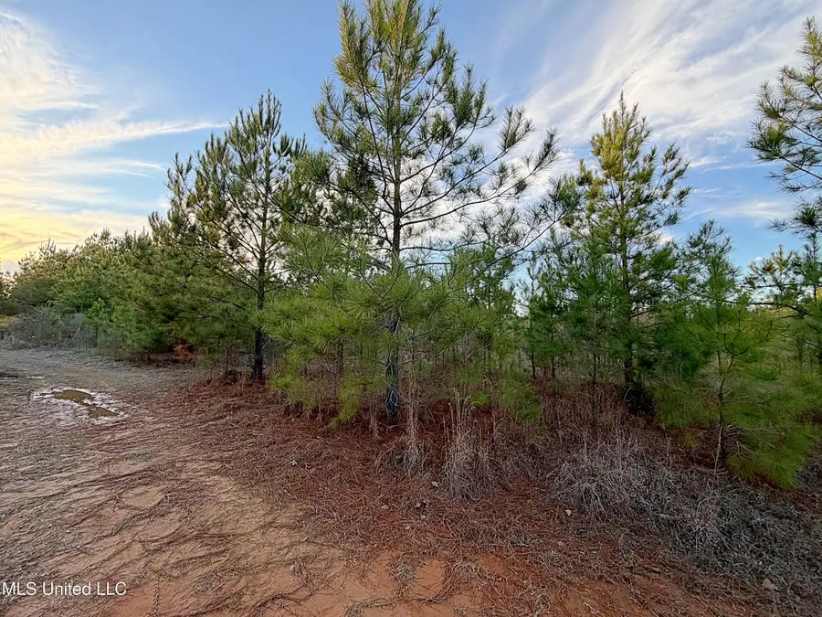 00 Airport Road, Carthage, MS 39051 - Image #3