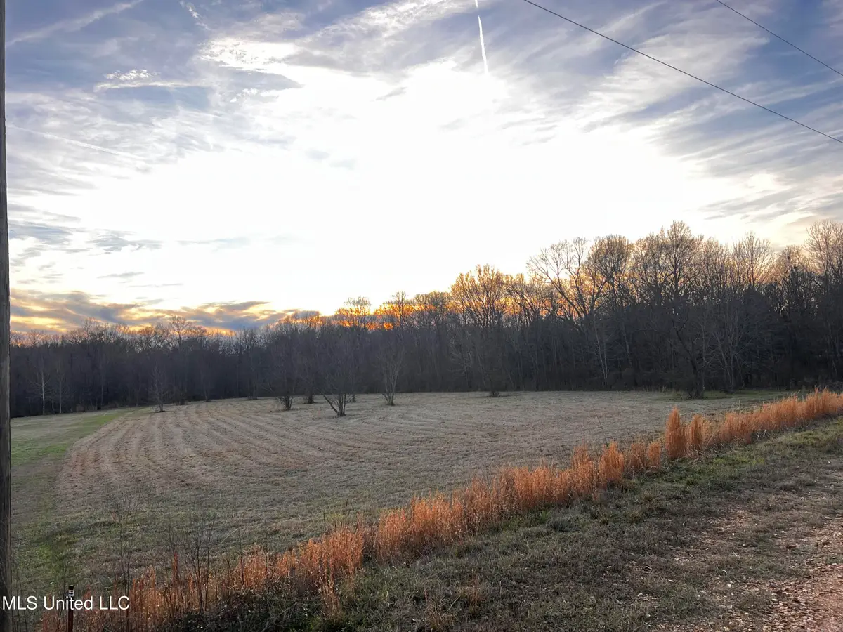 183 Central Boulevard, Flora, MS 39071 - Image #1