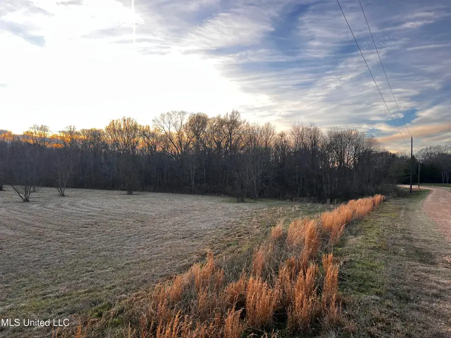 183 Central Boulevard, Flora, MS 39071 - Image #2