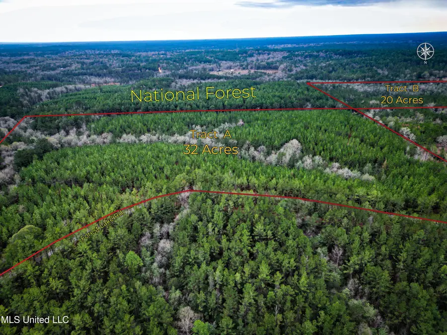 259 Forest Lake Road, Beaumont, MS 39423 - #2