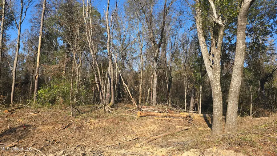 134 Dale Drive, Hazlehurst, MS 39083 - #2