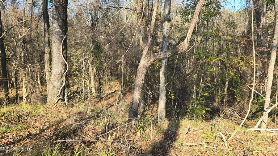 134 Dale Drive, Hazlehurst, MS 39083 - #3