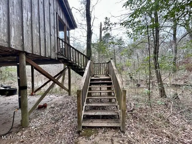 3197 Leatherwood Road, Tylertown, MS 39667 - #2