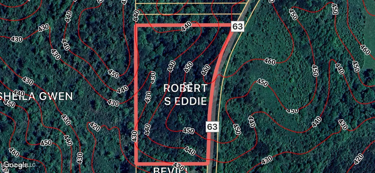 County Road 63, Mize, MS 39116 - #1