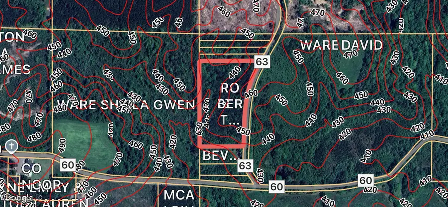 County Road 63, Mize, MS 39116 - #2