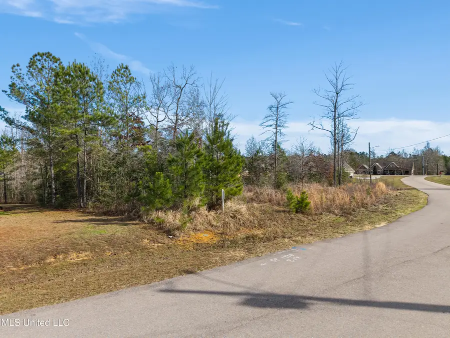 10 Crossbuck Road, Sumrall, MS 39482 - #2