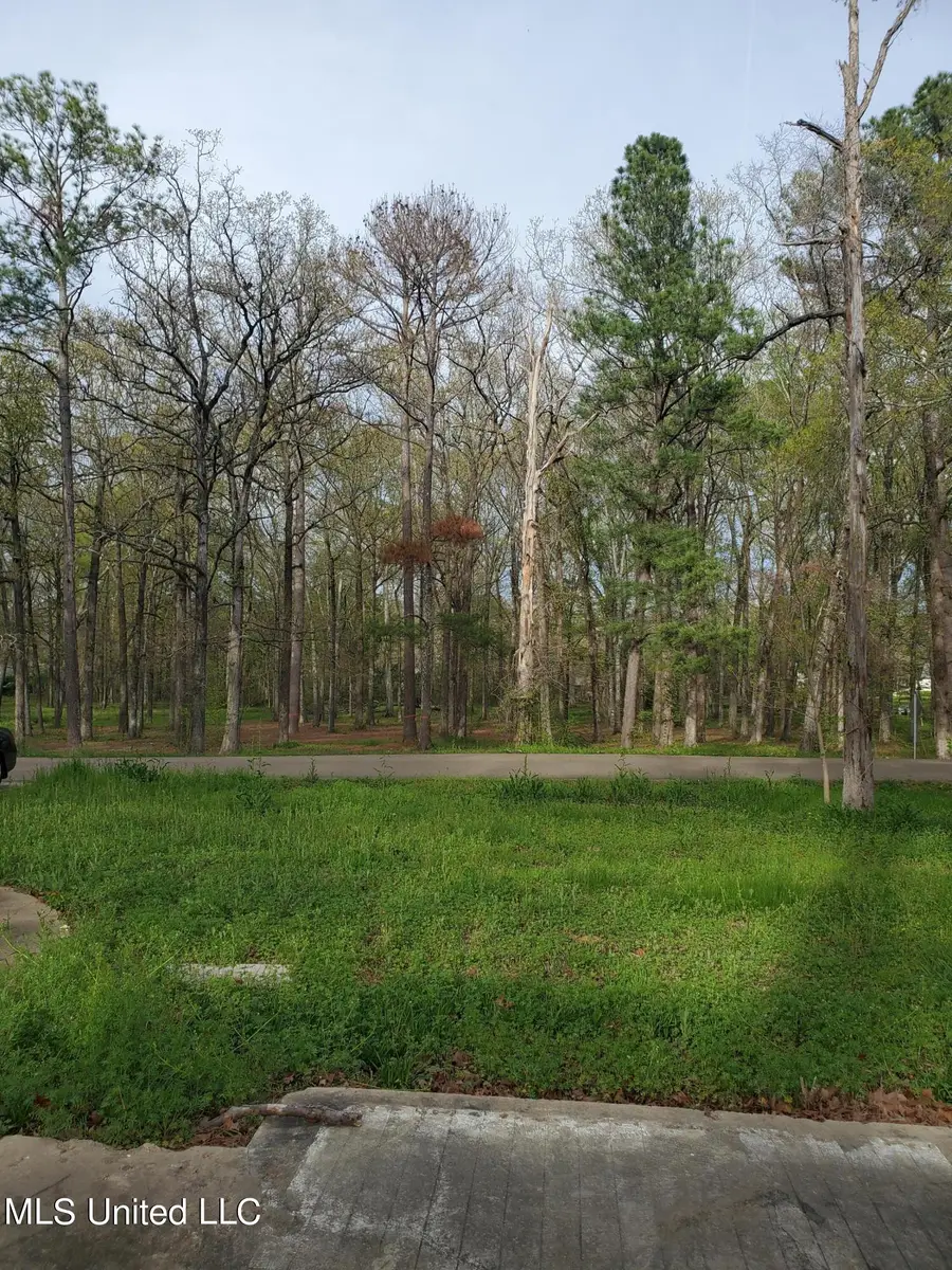 111 Holly Trail, Brandon, MS 39047 - Image #2