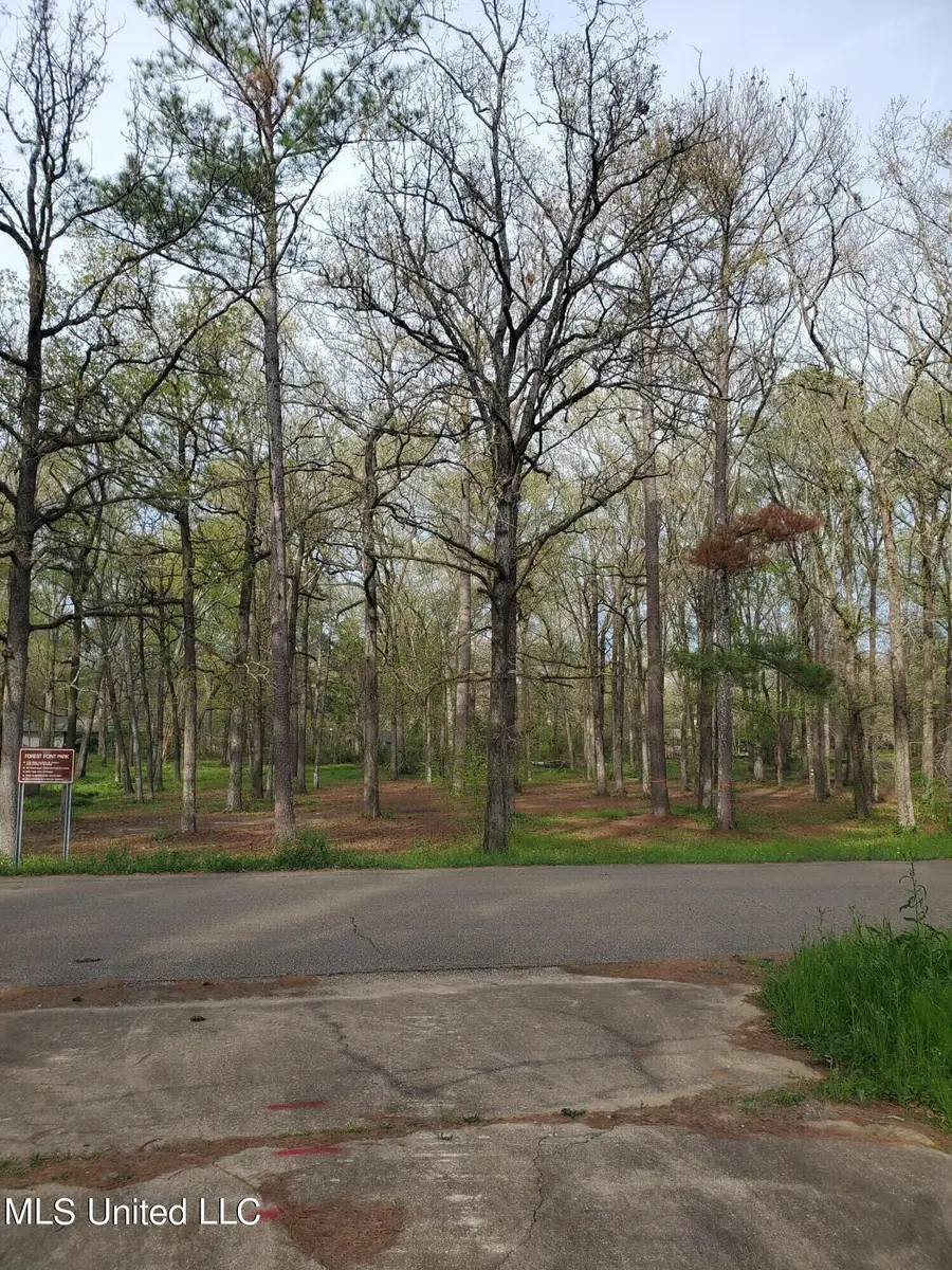 111 Holly Trail, Brandon, MS 39047 - Image #3