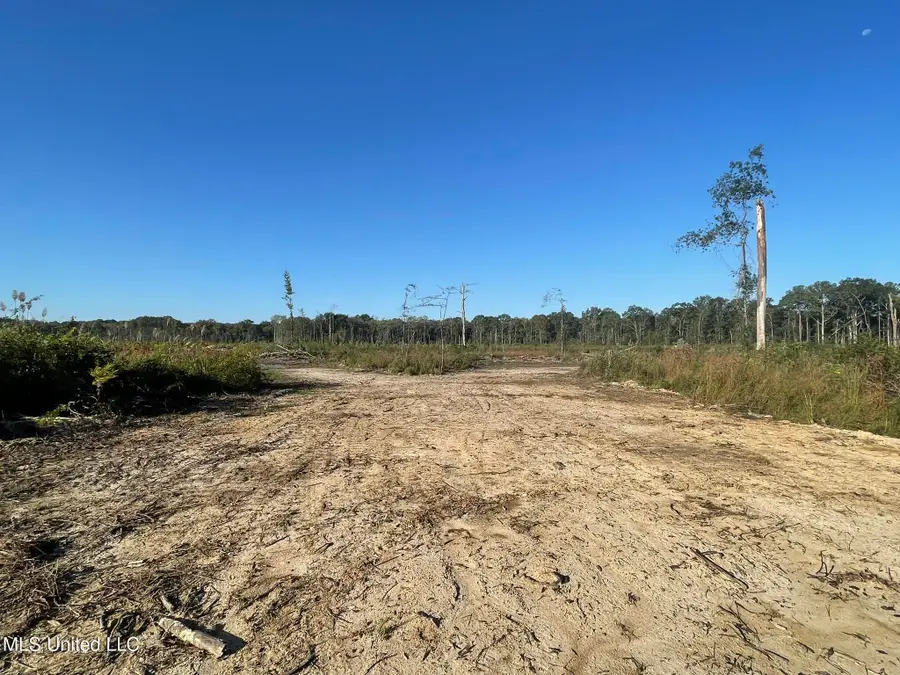 Hwy 490, Louisville, MS 39339 - #3