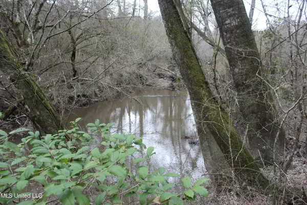 SW Big Creek Drive, Bogue Chitto, MS 39629