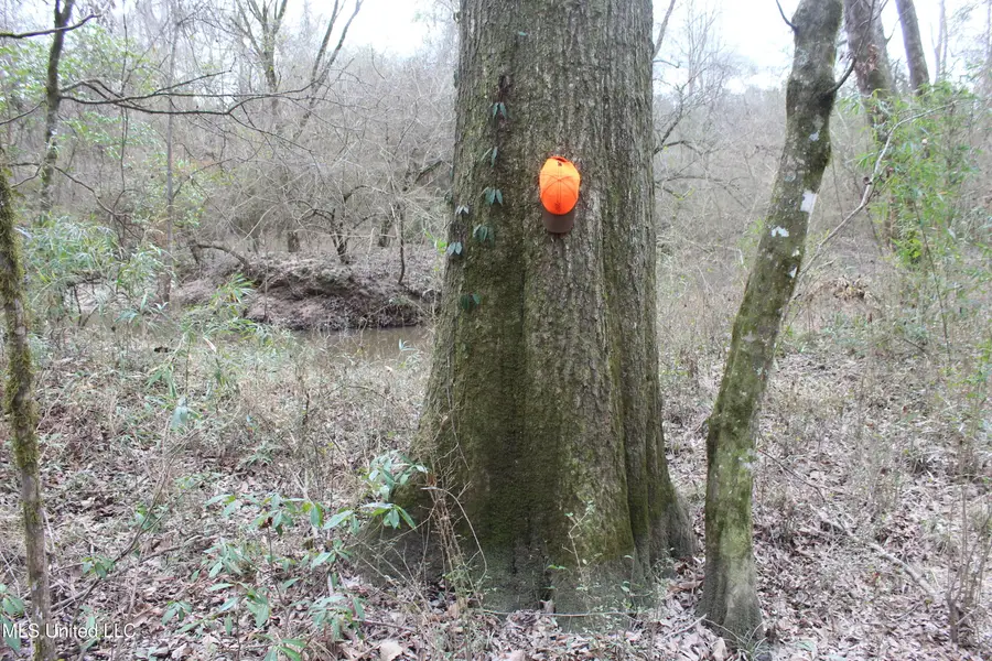 SW Big Creek Drive, Bogue Chitto, MS 39629 - Image #2