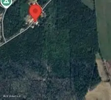 Turkey Creek Road, Decatur, MS 39327 - Image #3