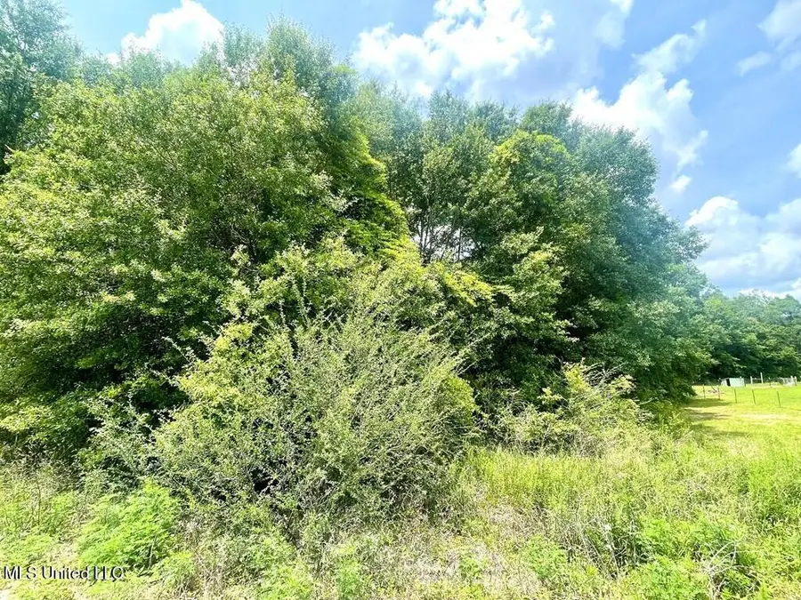 No Theodore Drive, Poplarville, MS 39470 - #2