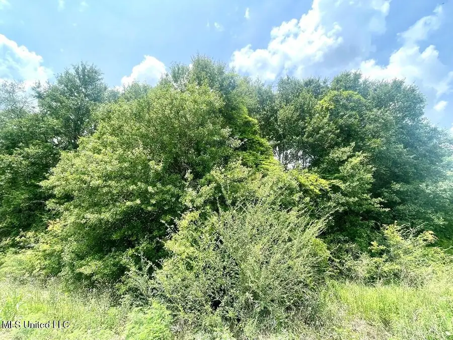 No Theodore Drive, Poplarville, MS 39470 - #3